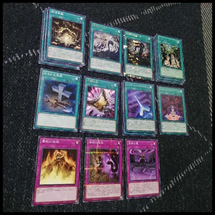 遊戯王　溟界　レプティレス　デッキ　ナイア　ヌル　溟界の蛇睡蓮　[04220]