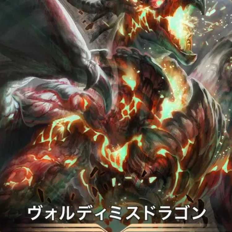 クリプトスペルズ/クリスペ/ヴォルディミスドラゴン２枚