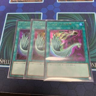 ハーピィの羽根帚 UR