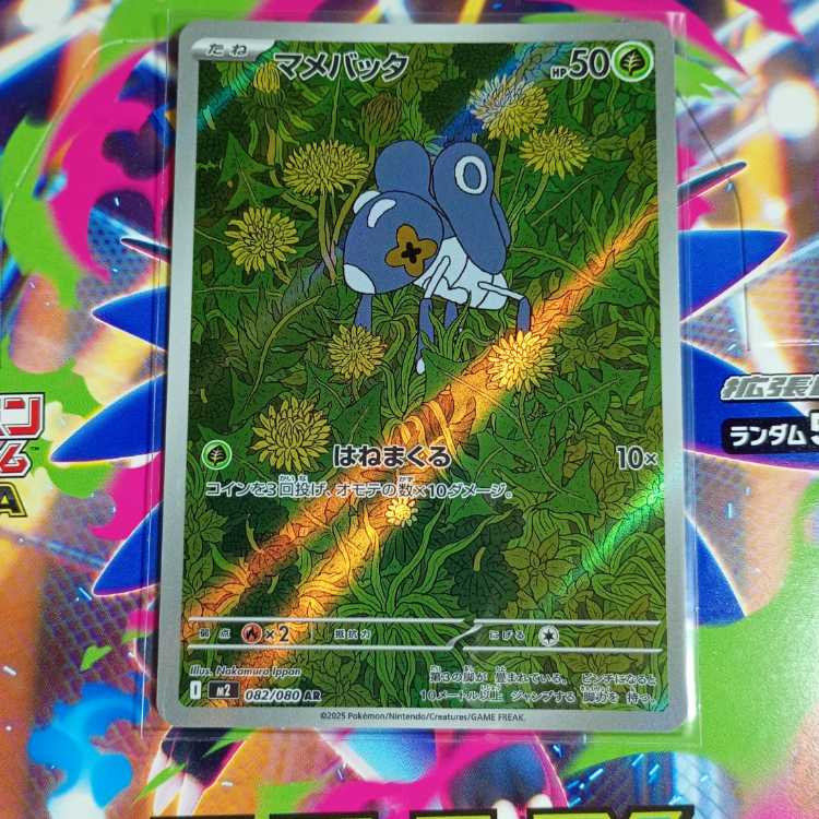 マメバッタ AR 082/080