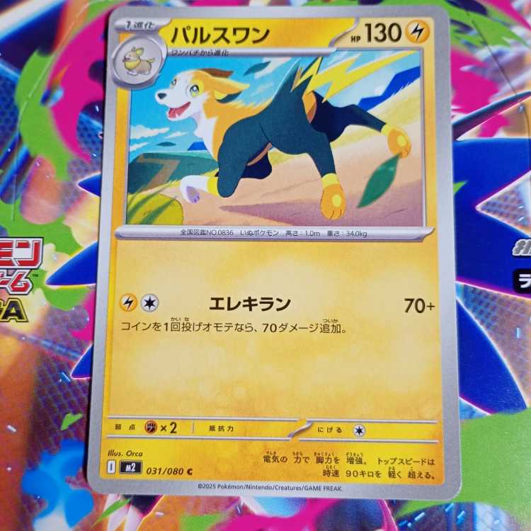 Boltund C 031/080 Evolution line