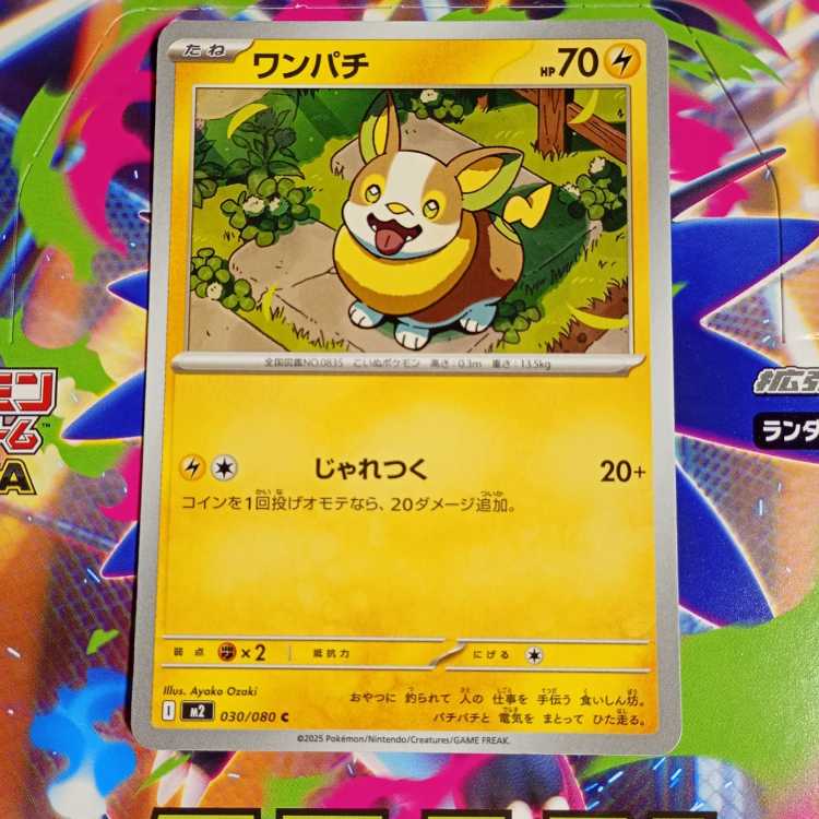 Boltund C 031/080 Evolution line