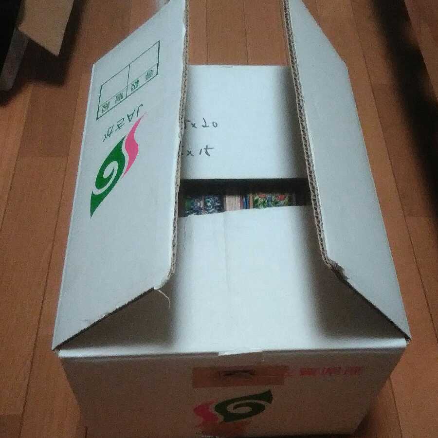 大量!ノーマル10000枚まとめ売り!!