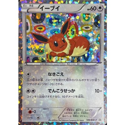 [Condition B] Eevee [P] {189/BW-P}