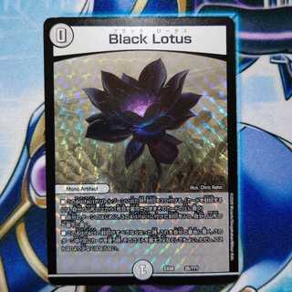 Black Lotus ブラックロータス