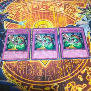 Heavy Slump Normal JP054