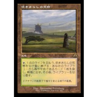MTG 吹きさらしの荒野 4枚セット MTG 吹きさらしの荒野 4枚セット 吹きさらしの荒野/Windswept