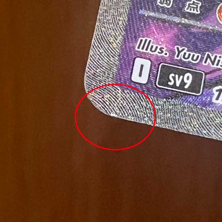 ナンジャモのハラバリーex SAR 125/100 SV9 ポケモンカードゲーム ポケカ