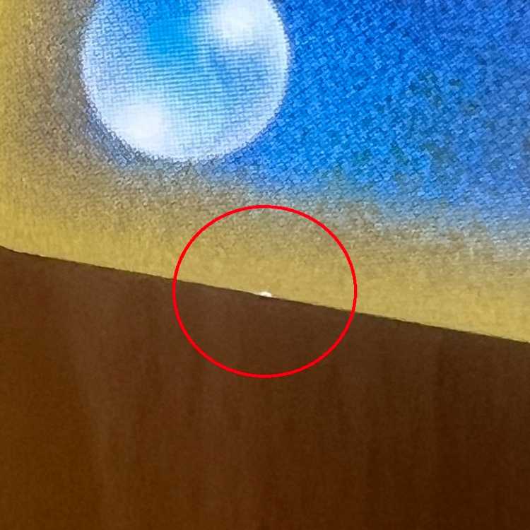 Pikachu & Zekrom GX SR 100/095 SM9 Pokémon Card Game Pokéka