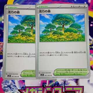 活力の森 U 061/063