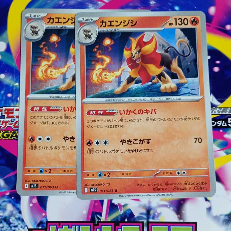 カエンジシ U 011/063　進化ライン