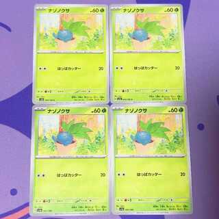 ナゾノクサ C 043/165