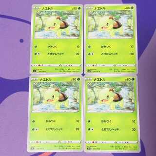 ナエトル C 006/100