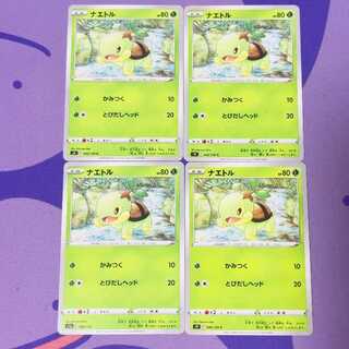 ナエトル C 006/100