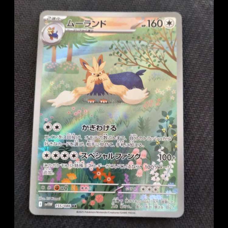 ムーランド AR 155/086