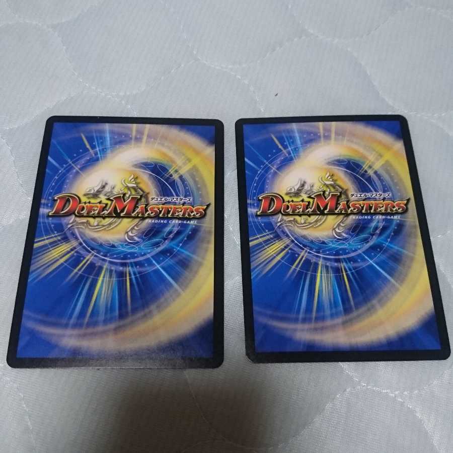 「絶対の楯騎士」