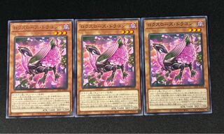 Roxrose Dragon rare JP009