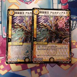 聖霊龍王 アルカディアスD