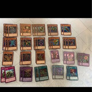 遊戯王　捕食植物デッキパーツ＋おまけ