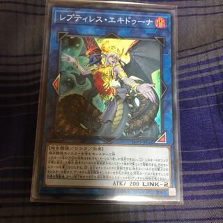 マドレース レプティレス・エキドゥーナ SR