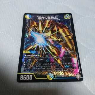 「雷光の聖騎士」