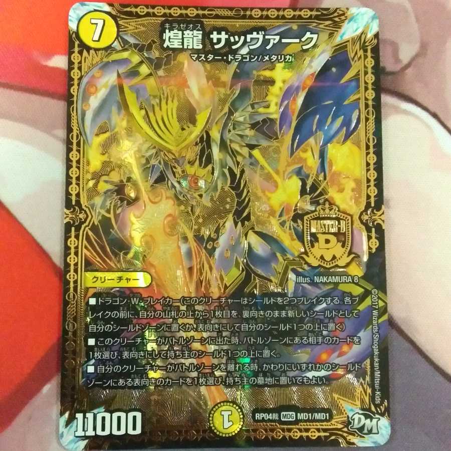 煌龍 サッヴァーク