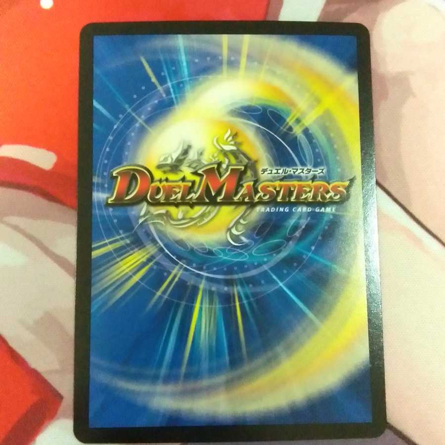 煌龍 サッヴァーク