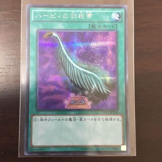 ハーピィの羽根箒 シク