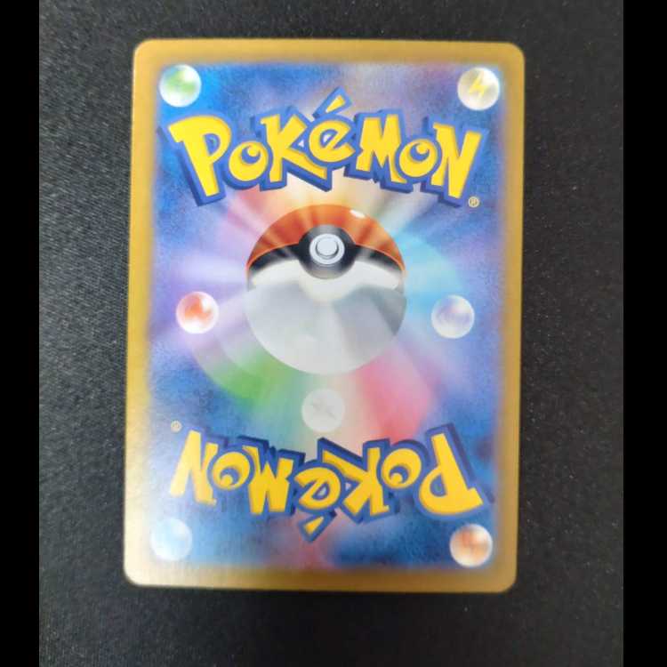 古びたこうらの化石(マスターボール柄/ミラー仕様) C 155/165