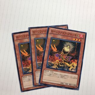 ローンファイア・ブロッサム