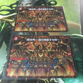 龍世界 -龍の降臨する地- 2枚セット