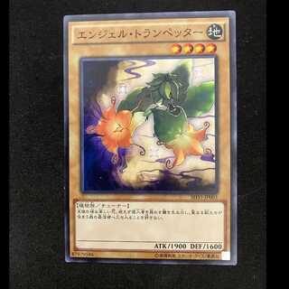 Angel Trumpeter Normal Rare JP001