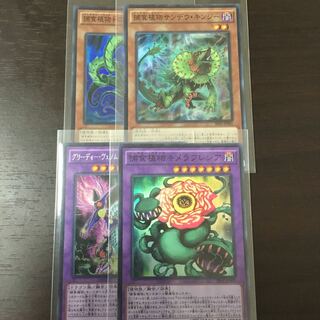 捕食植物 セット