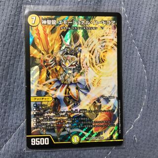 神聖龍 エモーショナル・ハードコア SR