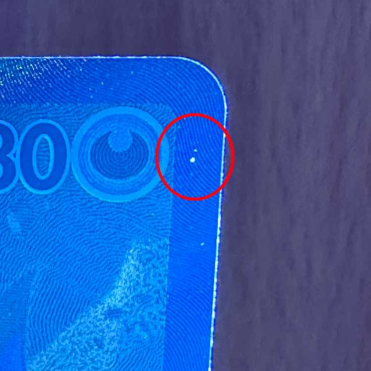 N Zoroarkex SAR 127/100 SV9 Pokémon Card Game Pokéka