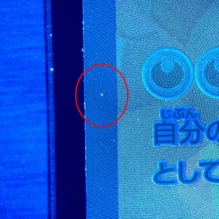 N Zoroarkex SAR 127/100 SV9 Pokémon Card Game Pokéka