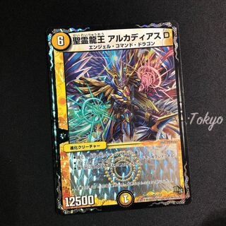 聖霊龍王 アルカディアスD