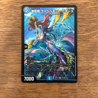 海姫龍 ライベルモット・ビターズ