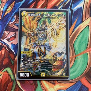 神聖龍 エモーショナル・ハードコア SR