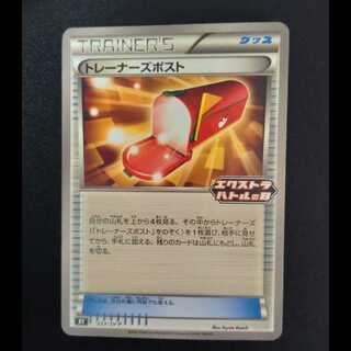 Trainers' Mail PROMO 223/SV-P