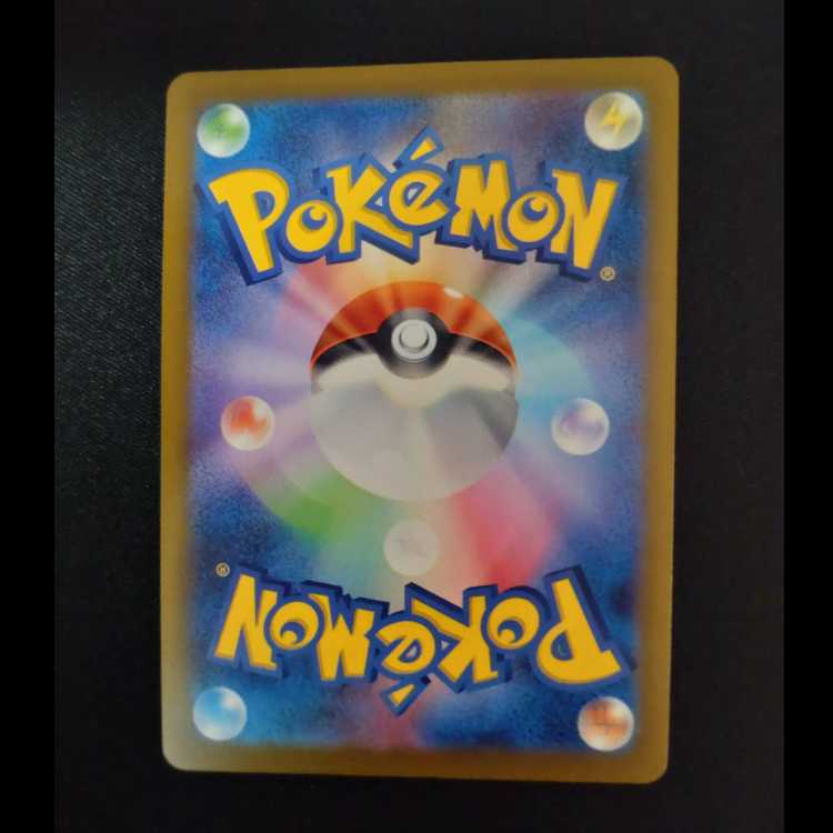 Trainers' Mail PROMO 223/SV-P