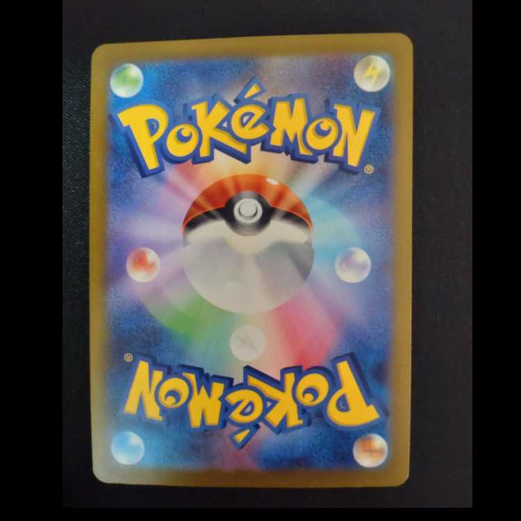 Trainers' Mail PROMO 223/SV-P