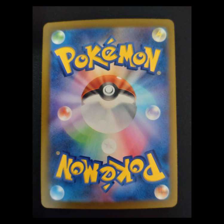 Trainers' Mail PROMO 223/SV-P