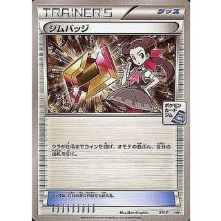 〔状態A-〕ジムバッジ(ツツジ)【P】{XY-P}