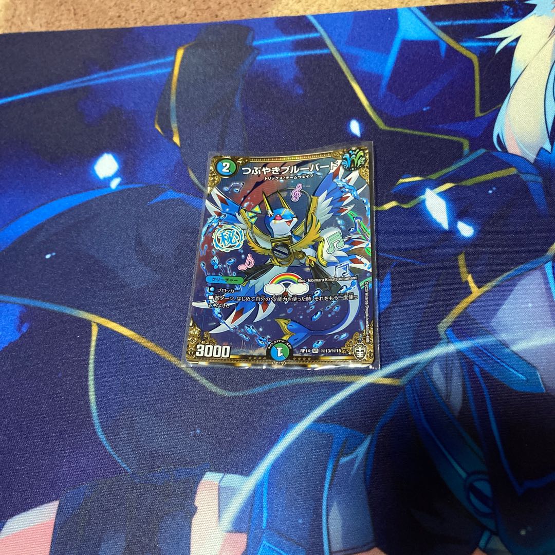 つぶやきブルーバード VR