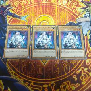 Genetic Woman Normal JP015