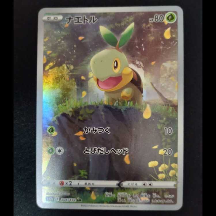 Turtwig AR 206/172