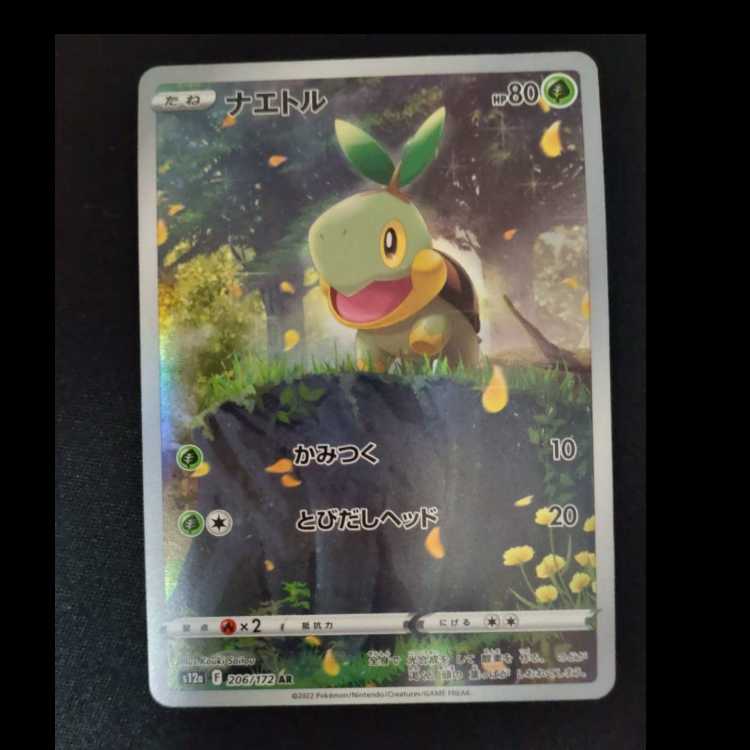 Turtwig AR 206/172