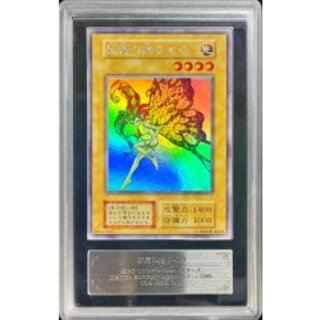 妖精の贈りもの」の激安通販 | magi