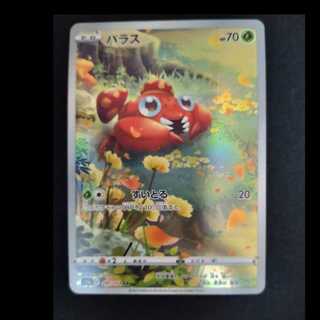 パラス AR 207/172